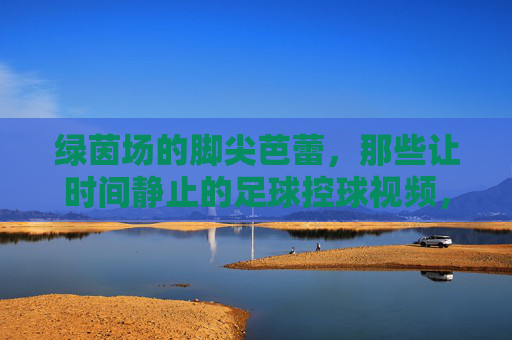 绿茵场的脚尖芭蕾,那些让时间静止的足球控球视频,绿茵脚尖芭蕾,让时间静止的足球控球瞬间