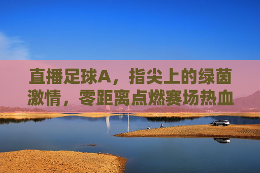 直播足球A,指尖上的绿茵激情,零距离点燃赛场热血,指尖上的绿茵直播,点燃赛场热血