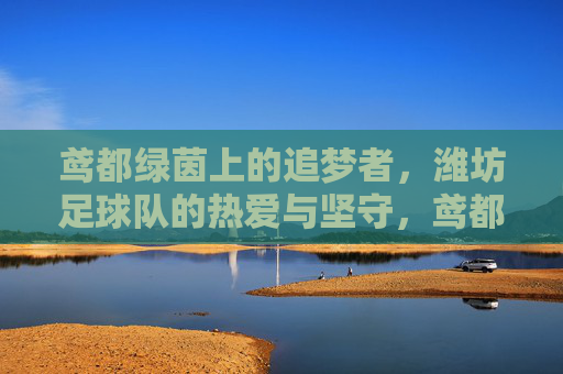 鸢都绿茵上的追梦者，潍坊足球队的热爱与坚守，鸢都绿茵追梦人，潍坊足球队的热爱与坚守