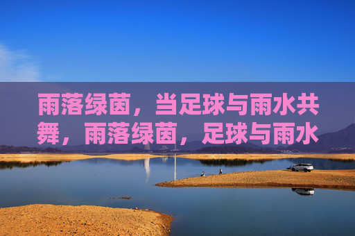 雨落绿茵,当足球与雨水共舞,雨落绿茵,足球与雨水共舞