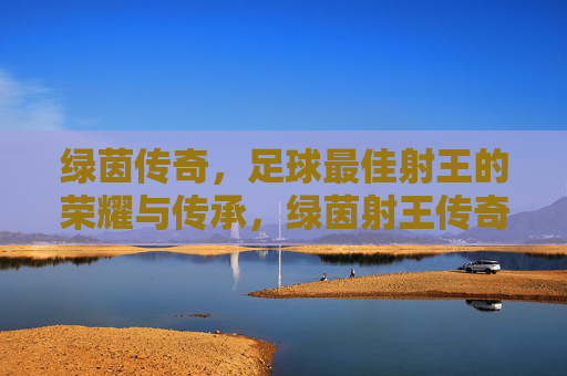 绿茵传奇，足球最佳射王的荣耀与传承，绿茵射王传奇，荣耀与传承