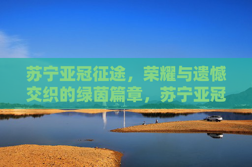 苏宁亚冠征途，荣耀与遗憾交织的绿茵篇章，苏宁亚冠征途，荣耀遗憾交织的绿茵篇章