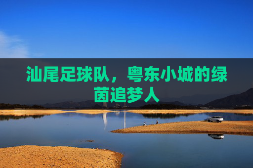 汕尾足球队,粤东小城的绿茵追梦人