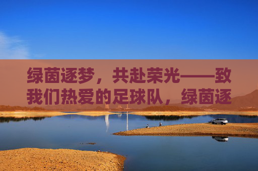 绿茵逐梦，共赴荣光——致我们热爱的足球队，绿茵逐梦，共赴荣光——致我们热爱的足球队