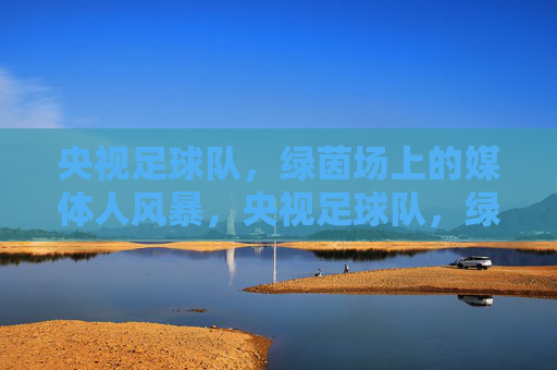 央视足球队,绿茵场上的媒体人风暴,央视足球队,绿茵场上的媒体人风暴