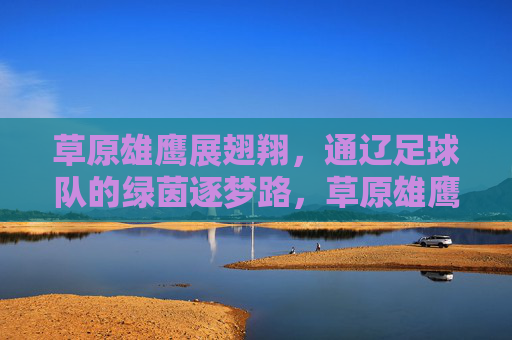 草原雄鹰展翅翔，通辽足球队的绿茵逐梦路，草原雄鹰逐梦绿茵