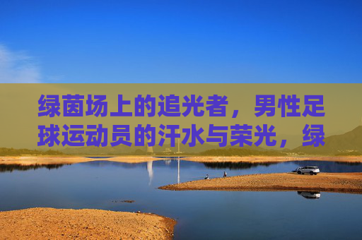 绿茵场上的追光者，男性足球运动员的汗水与荣光，绿茵追光者，汗水铸就的荣光