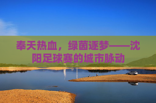 奉天热血,绿茵逐梦——沈阳足球赛的城市脉动