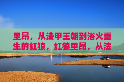 里昂,从法甲王朝到浴火重生的红狼,红狼里昂,从法甲王朝到浴火重生
