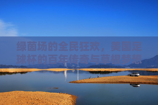 绿茵场的全民狂欢,美国足球杯的百年传奇与草根梦想,美国足球杯百年,绿茵场的全民狂欢与草根梦想