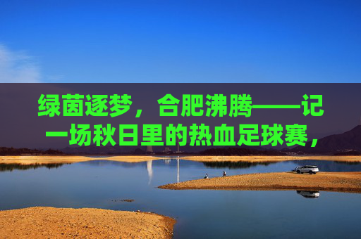 绿茵逐梦,合肥沸腾——记一场秋日里的热血足球赛,绿茵逐梦,合肥沸腾——秋日热血足球赛