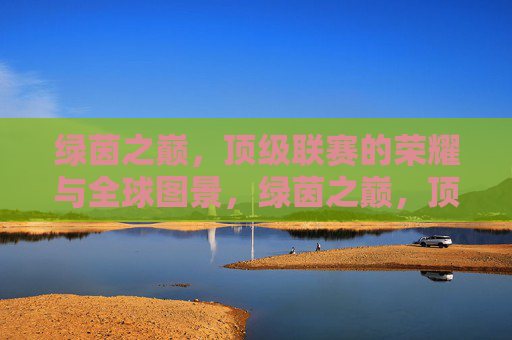 绿茵之巅,顶级联赛的荣耀与全球图景,绿茵之巅,顶级联赛的荣耀全球图景