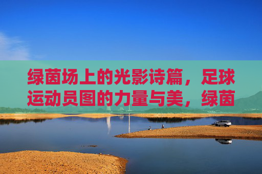 绿茵场上的光影诗篇,足球运动员图的力量与美,绿茵光影诗篇,足球运动员的力量与美