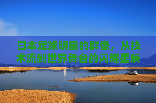 日本足球明星的群像，从技术流到世界舞台的闪耀星辰，日本足球明星群像，技术流闪耀世界舞台