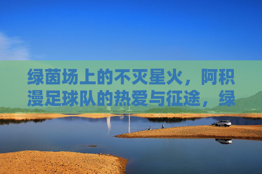 绿茵场上的不灭星火,阿积漫足球队的热爱与征途,绿茵不灭星火,阿积漫足球队的热爱征途