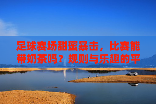 足球赛场甜蜜暴击,比赛能带奶茶吗?规则与乐趣的平衡,足球赛场奶茶,规则与乐趣的甜蜜平衡