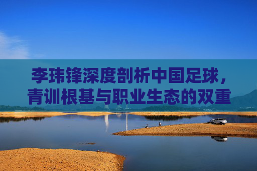 李玮锋深度剖析中国足球,青训根基与职业生态的双重突围