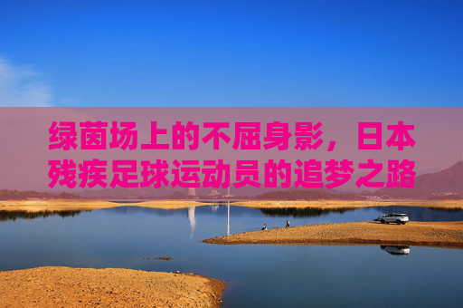 绿茵场上的不屈身影,日本残疾足球运动员的追梦之路,日本残疾足球人,绿茵场上的不屈追梦路