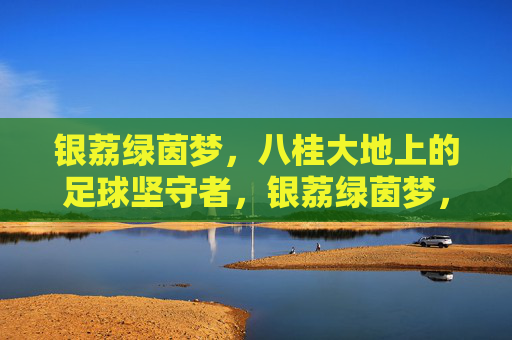 银荔绿茵梦，八桂大地上的足球坚守者，银荔绿茵梦，八桂大地足球坚守者