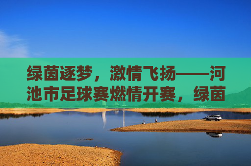 绿茵逐梦，激情飞扬——河池市足球赛燃情开赛，绿茵逐梦，河池市足球赛燃情开赛