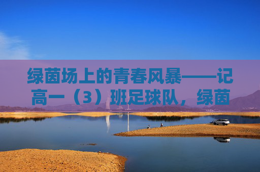 绿茵场上的青春风暴——记高一（3）班足球队，绿茵场上的青春风暴——高一（3）班足球队