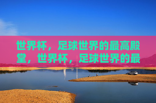 世界杯,足球世界的最高殿堂,世界杯,足球世界的最高殿堂
