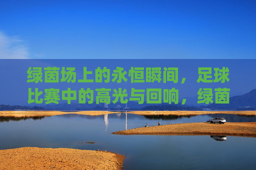 绿茵场上的永恒瞬间,足球比赛中的高光与回响,绿茵永恒,高光瞬间的赛场回响
