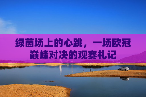 绿茵场上的心跳,一场欧冠巅峰对决的观赛札记