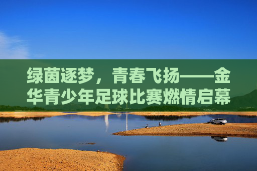 绿茵逐梦,青春飞扬——金华青少年足球比赛燃情启幕