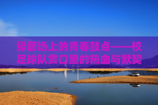 绿茵场上的青春鼓点——校足球队贯口里的热血与默契,绿茵青春鼓点,校足球队贯口里的热血默契