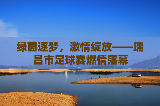 绿茵逐梦,激情绽放——瑞昌市足球赛燃情落幕
