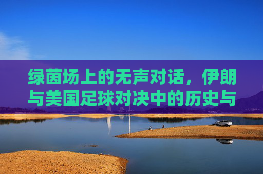 绿茵场上的无声对话,伊朗与美国足球对决中的历史与温度,绿茵无声,伊朗与美国足球对决的历史与温度