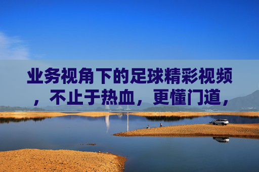 业务视角下的足球精彩视频,不止于热血,更懂门道,业务视角,足球精彩视频,不止热血更懂门道