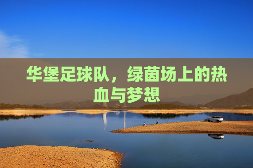 华堡足球队,绿茵场上的热血与梦想