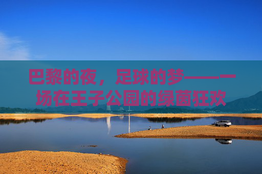 巴黎的夜,足球的梦——一场在王子公园的绿茵狂欢