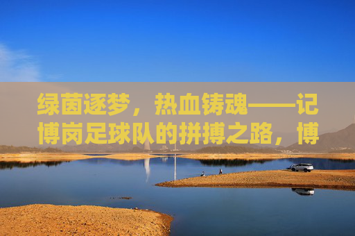 绿茵逐梦，热血铸魂——记博岗足球队的拼搏之路，博岗足球队，绿茵逐梦，热血铸魂