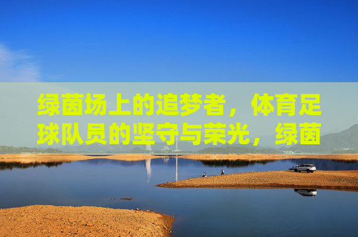 绿茵场上的追梦者,体育足球队员的坚守与荣光,绿茵追梦者,足球场上的坚守与荣光