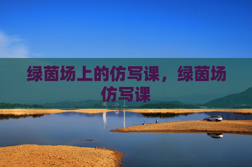 绿茵场上的仿写课,绿茵场仿写课