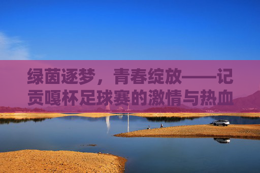 绿茵逐梦,青春绽放——记贡嘎杯足球赛的激情与热血,绿茵逐梦,青春绽放——贡嘎杯足球赛的激情与热血