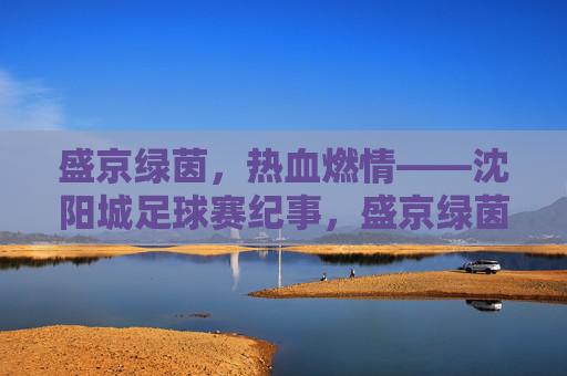 盛京绿茵,热血燃情——沈阳城足球赛纪事,盛京绿茵燃情纪事