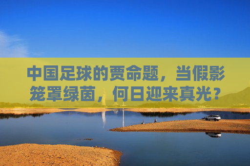 中国足球的贾命题,当假影笼罩绿茵,何日迎来真光?中国足球,假影笼罩绿茵,真光何日来?