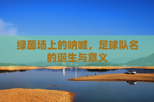 绿茵场上的呐喊,足球队名的诞生与意义