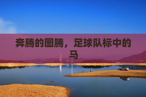 奔腾的图腾,足球队标中的马