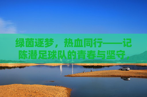 绿茵逐梦,热血同行——记陈潜足球队的青春与坚守,绿茵逐梦,热血同行,陈潜足球队的青春坚守