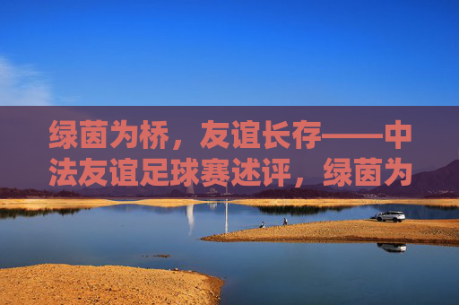 绿茵为桥，友谊长存——中法友谊足球赛述评，绿茵为桥，友谊长存