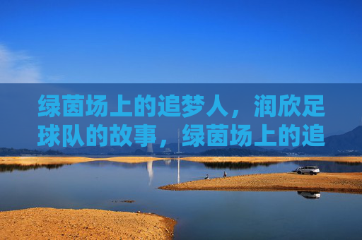 绿茵场上的追梦人,润欣足球队的故事,绿茵场上的追梦人,润欣足球队的故事