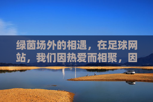 绿茵场外的相遇，在足球网站，我们因热爱而相聚，因热爱，绿茵场外相遇
