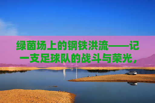 绿茵场上的钢铁洪流——记一支足球队的战斗与荣光,钢铁洪流,绿茵场上的战斗与荣光