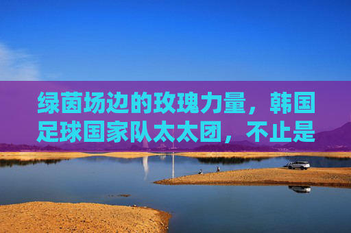 绿茵场边的玫瑰力量,韩国足球国家队太太团,不止是看客,玫瑰力量,韩国太太团,不止看客
