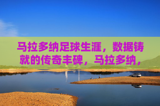 马拉多纳足球生涯，数据铸就的传奇丰碑，马拉多纳，数据铸就的足球传奇